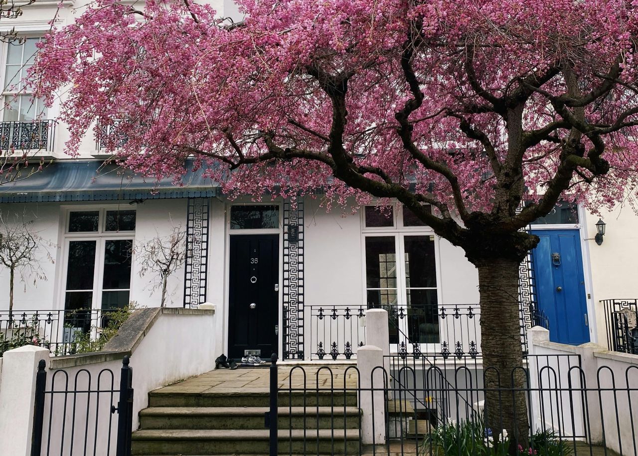 Why more Brits should be painting their home white