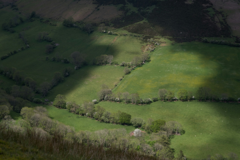 The end of family farmers in the UK