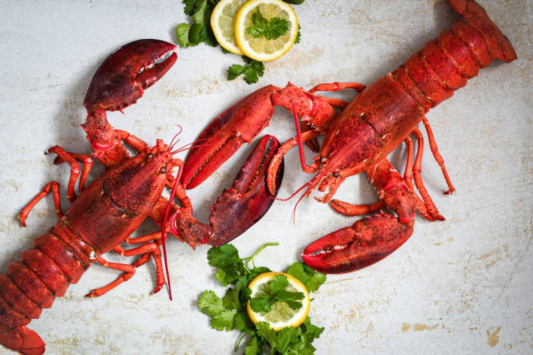 Boiling lobsters alive to be banned in the UK