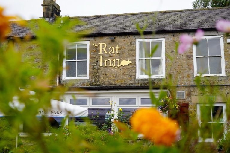 Photos: The 10 best pubs to dine at in the UK revealed