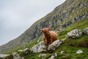ISPs fed up with congestion now have another option – and it reaches corners of Scotland and the South West most providers ignore