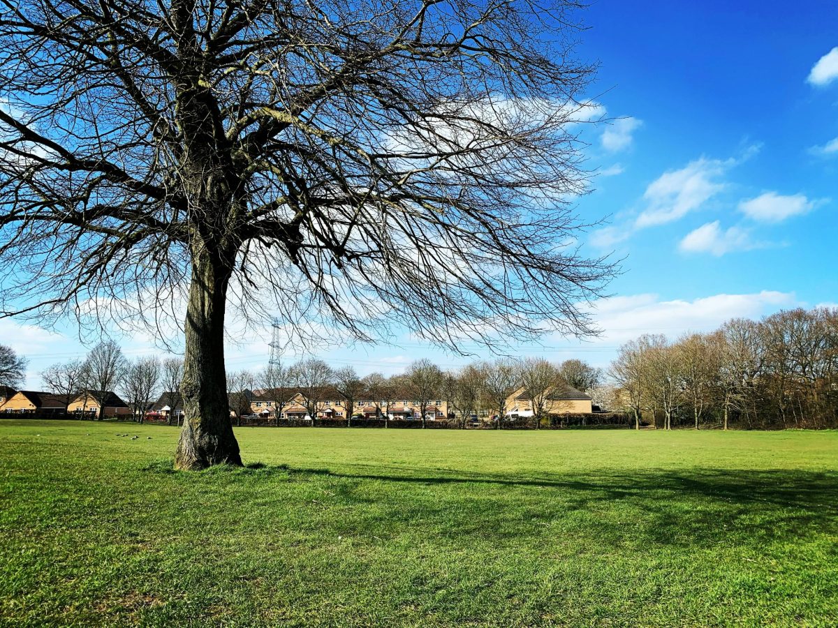 5 Home Counties towns where flatshare demand is exploding