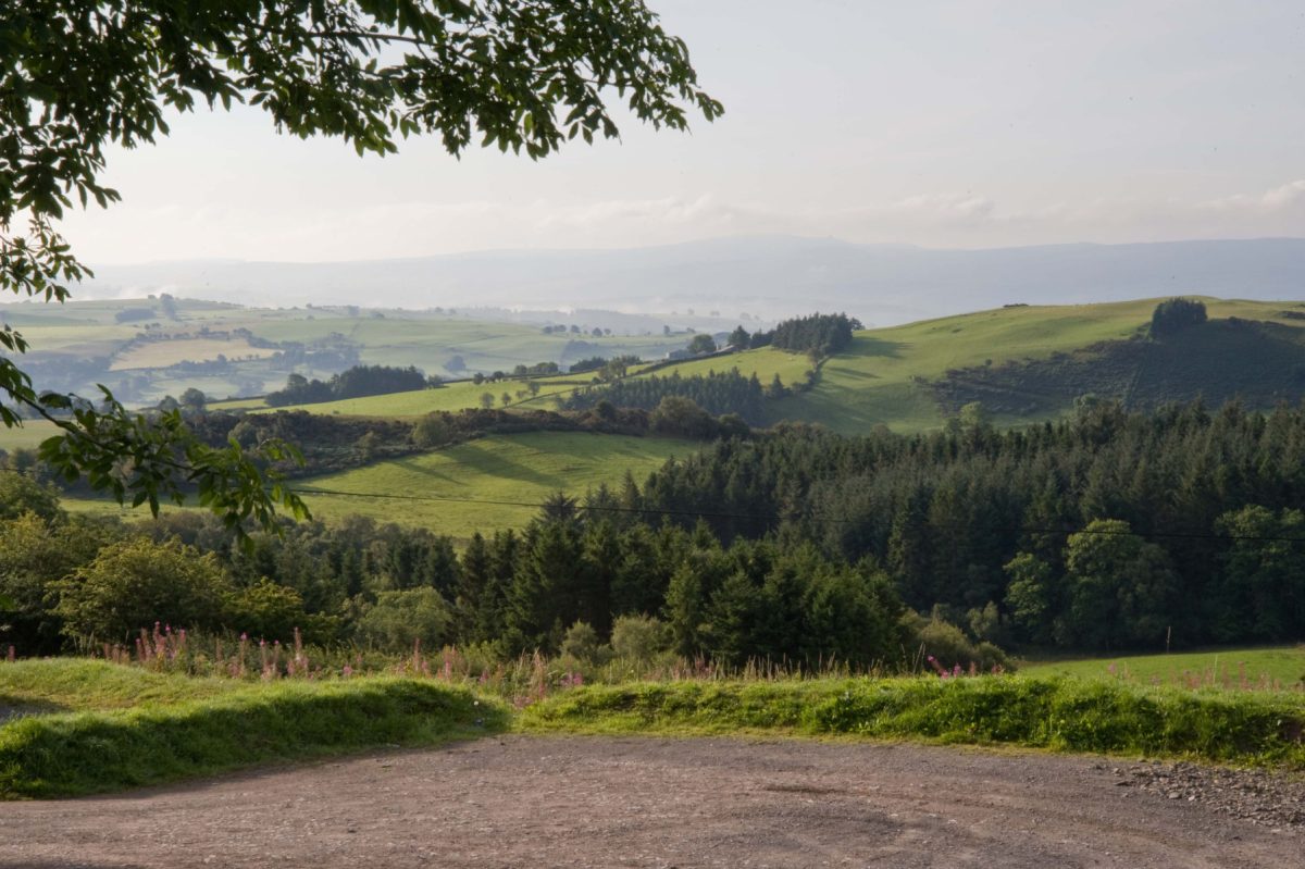 Welsh village gets first mobile signal from a lamppost